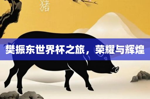 樊振东世界杯之旅，荣耀与辉煌