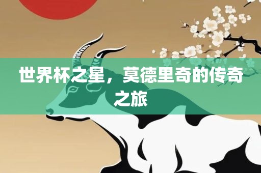 世界杯之星，莫德里奇的传奇之旅