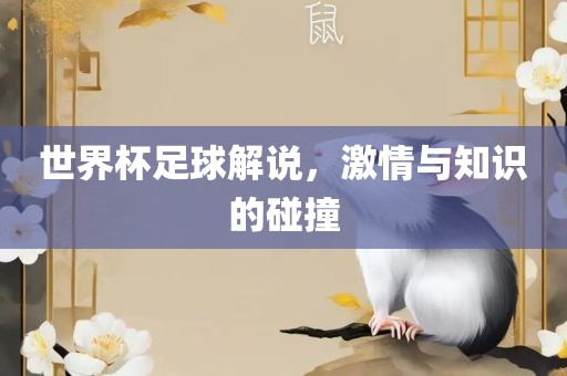世界杯足球解说，激情与知识的碰撞