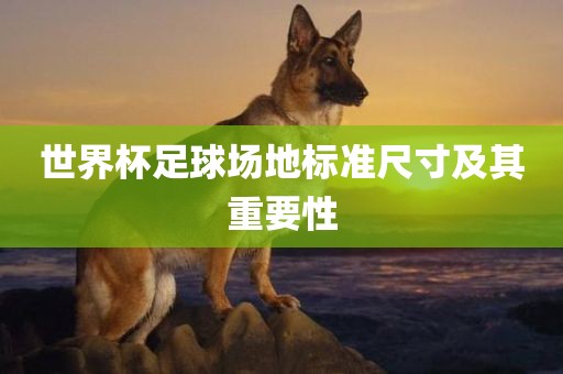 世界杯足球场地标准尺寸及其重要性