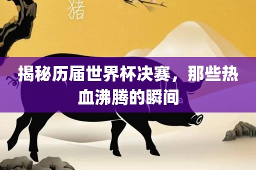揭秘历届世界杯决赛，那些热血沸腾的瞬间
