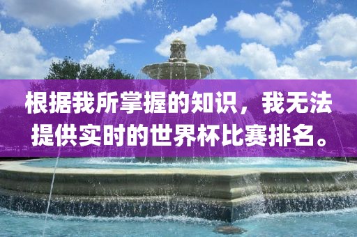 根据我所掌握的知识，我无法提供实时的世界杯比赛排名。