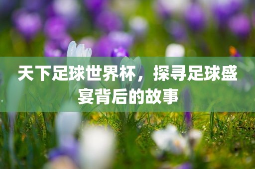 天下足球世界杯，探寻足球盛宴背后的故事