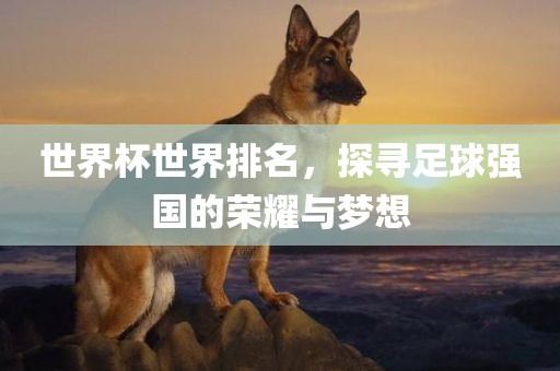 世界杯世界排名，探寻足球强国的荣耀与梦想