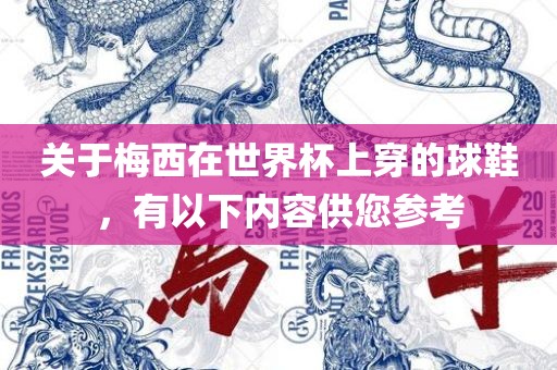 关于梅西在世界杯上穿的球鞋，有以下内容供您参考