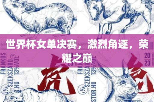 世界杯女单决赛，激烈角逐，荣耀之巅