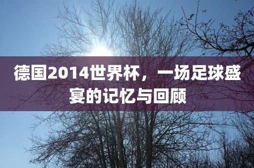 德国2014世界杯，一场足球盛宴的记忆与回顾