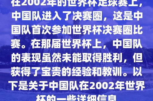 在2002年的世界杯足球赛上，中国队进入了决赛圈，这是中国队首次参加世界杯决赛圈比赛。在那届世界杯上，中国队的表现虽然未能取得胜利，但获得了宝贵的经验和教训。以下是关于中国队在2002年世界杯的一些详细信息