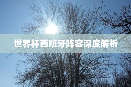 世界杯西班牙阵容深度解析