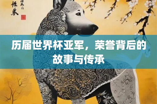历届世界杯亚军，荣誉背后的故事与传承