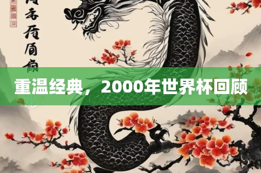 重温经典，2000年世界杯回顾