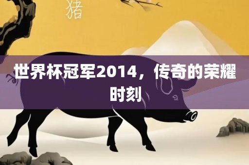 世界杯冠军2014，传奇的荣耀时刻