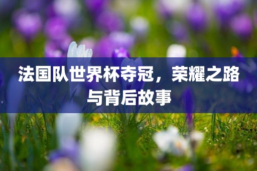 法国队世界杯夺冠，荣耀之路与背后故事