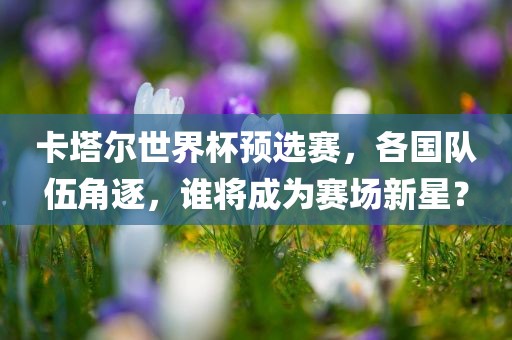 卡塔尔世界杯预选赛，各国队伍角逐，谁将成为赛场新星？