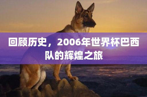 回顾历史，2006年世界杯巴西队的辉煌之旅