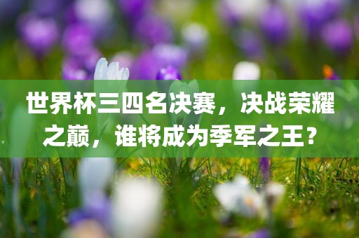 世界杯三四名决赛，决战荣耀之巅，谁将成为季军之王？