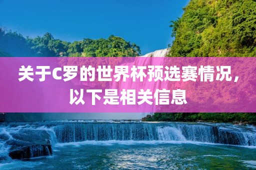 关于C罗的世界杯预选赛情况，以下是相关信息