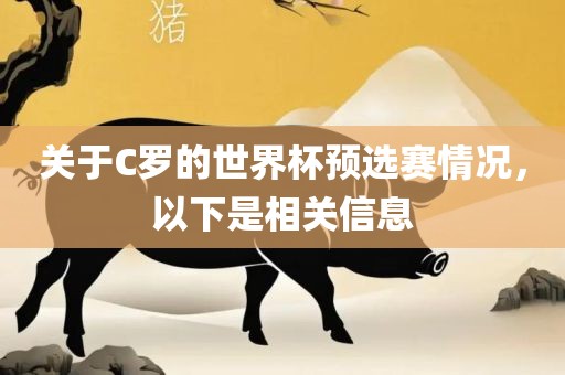 关于C罗的世界杯预选赛情况，以下是相关信息