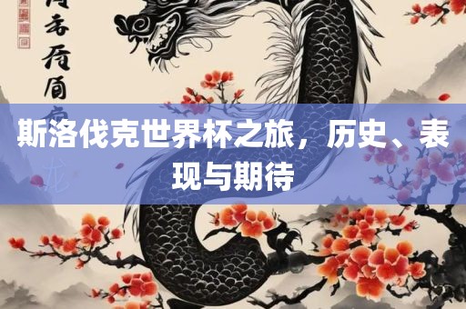 斯洛伐克世界杯之旅，历史、表现与期待