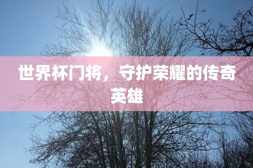 世界杯门将，守护荣耀的传奇英雄