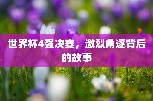 世界杯4强决赛，激烈角逐背后的故事