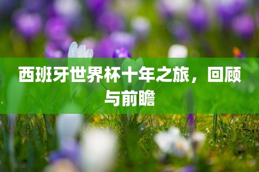 西班牙世界杯十年之旅，回顾与前瞻