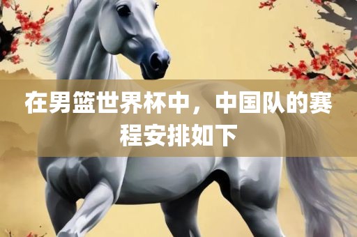 在男篮世界杯中，中国队的赛程安排如下