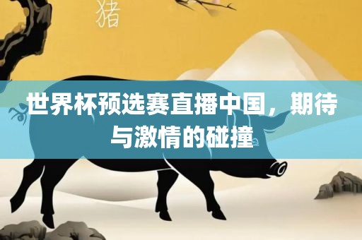 世界杯预选赛直播中国，期待与激情的碰撞