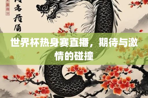 世界杯热身赛直播，期待与激情的碰撞