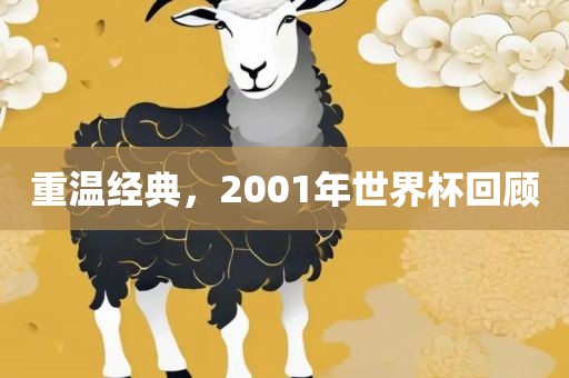 重温经典，2001年世界杯回顾