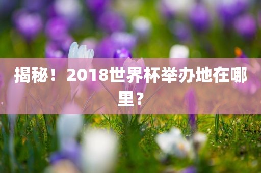 揭秘！2018世界杯举办地在哪里？