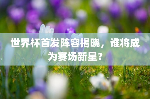 世界杯首发阵容揭晓，谁将成为赛场新星？