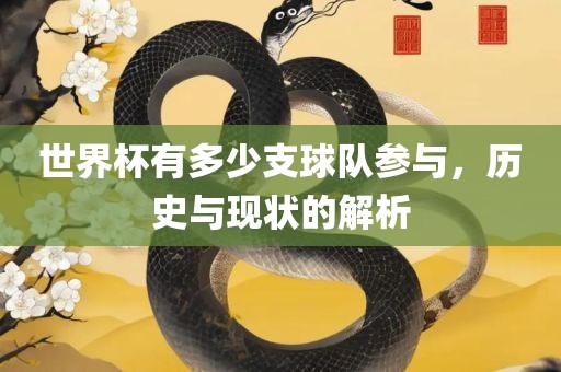 世界杯有多少支球队参与，历史与现状的解析