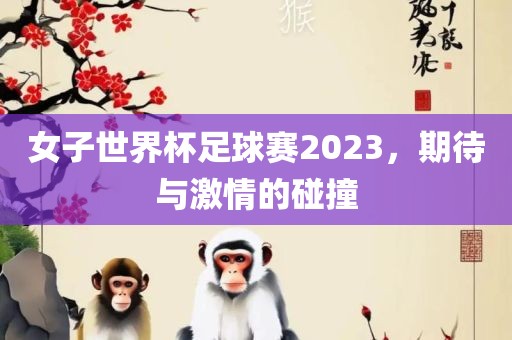 女子世界杯足球赛2023，期待与激情的碰撞