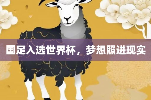 国足入选世界杯，梦想照进现实