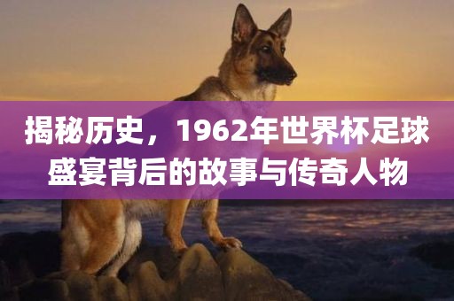揭秘历史，1962年世界杯足球盛宴背后的故事与传奇人物