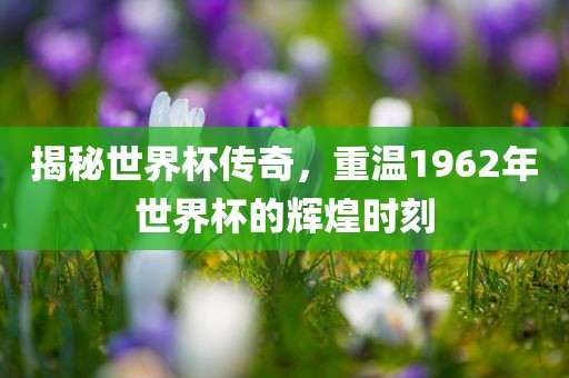 揭秘世界杯传奇，重温1962年世界杯的辉煌时刻