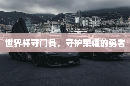 世界杯守门员，守护荣耀的勇者