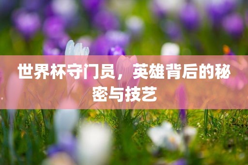 世界杯守门员，英雄背后的秘密与技艺