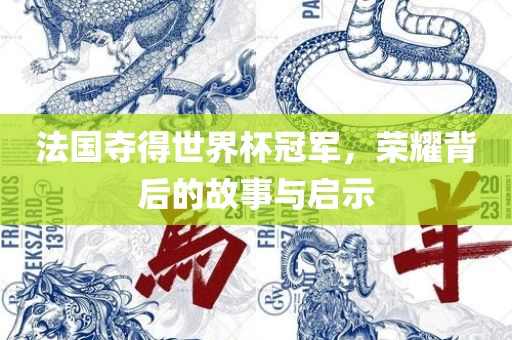 法国夺得世界杯冠军，荣耀背后的故事与启示