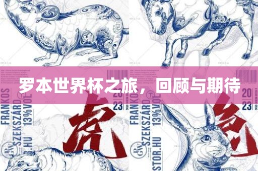 罗本世界杯之旅，回顾与期待