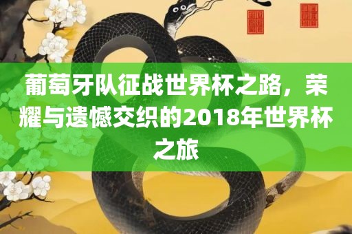 葡萄牙队征战世界杯之路，荣耀与遗憾交织的2018年世界杯之旅