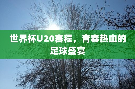 世界杯U20赛程，青春热血的足球盛宴