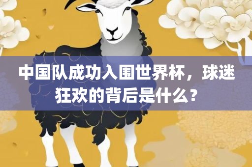 中国队成功入围世界杯，球迷狂欢的背后是什么？
