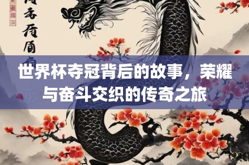 世界杯夺冠背后的故事，荣耀与奋斗交织的传奇之旅