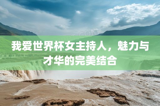 我爱世界杯女主持人，魅力与才华的完美结合