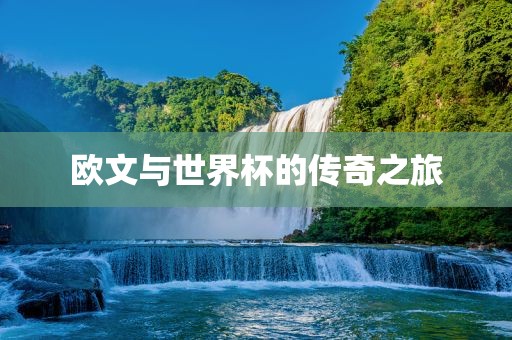 欧文与世界杯的传奇之旅