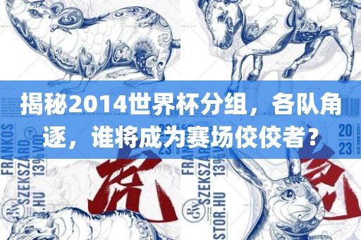 揭秘2014世界杯分组，各队角逐，谁将成为赛场佼佼者？