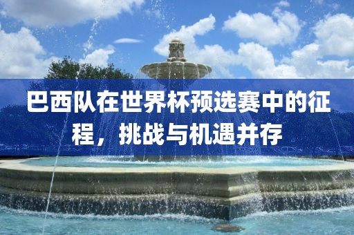 巴西队在世界杯预选赛中的征程，挑战与机遇并存