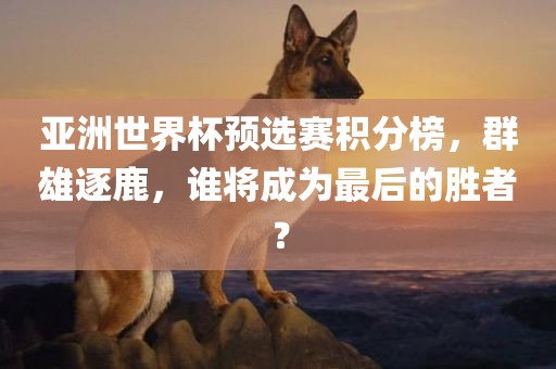 亚洲世界杯预选赛积分榜，群雄逐鹿，谁将成为最后的胜者？